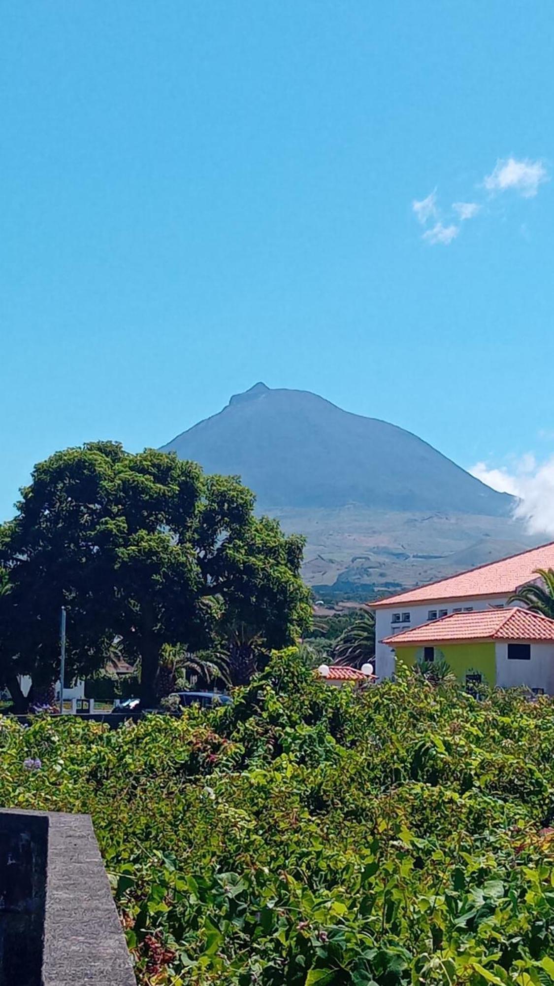 Sunflower Guest House - Madalena - Pico Sao Caetano  Exterior photo